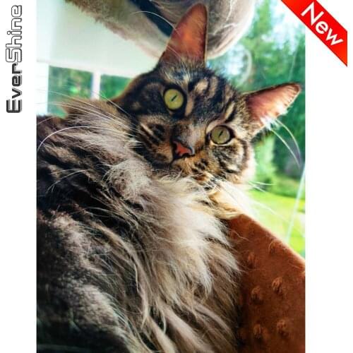 Evershine Diamond Embroidery Cat Full Square Round Drill New Arrival Diamond Painting Animals 5D DIY Craft Kit Home Decoration