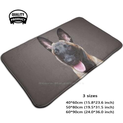 Belgian Malinoise Puppy Dog 3 Sizes Home Rug Room Carpet Belgian Malinois Puppy Dog Dogs Working Dog Working Line Guard Dog