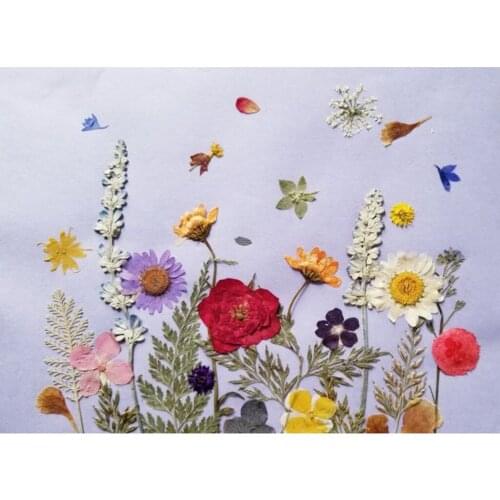 12x Dried Real Flower Chinese Rose for DIY Necklace Pendants Charms