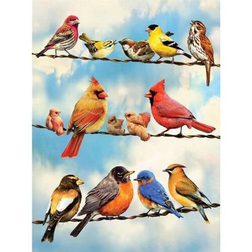 5D diamond painting DIY full round diamond animal bird painting home decoration mosaic diamond embroidery kit