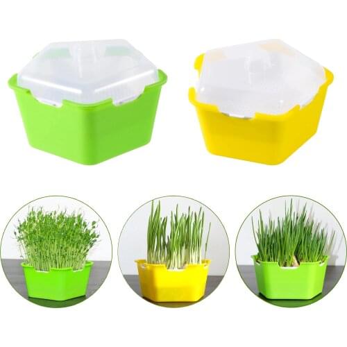 Pentagonal Plastic Sprout Planting Pot Box Bean Pea Sprouter Seedling Tray Wheat Grass Cat Grass Nursery Growing Germination Kit