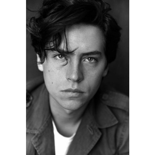 Black White Cole Sprouse Hot Movie Star Actor Silk Fabric Wall Poster Art Decor Sticker Bright