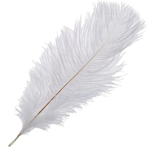 10 Pieces White Natural Ostrich Feather 20-25cm Wedding DIY