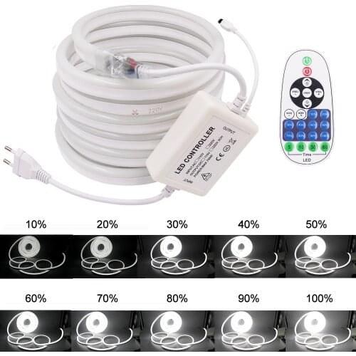 LED Neon Light Strip SMD2835 120Leds/M Waterproof Led Stripe Neon Sign 110V 220V Flexible Dimmable Neon Rope Light With Remote