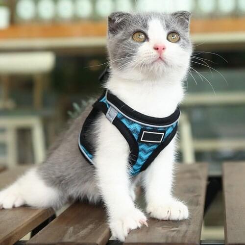 High Quality Adjustable Pet Wavy Reflective Breathable Lightweight Chest Strap Dog Cat Chest Belt Harness for Walking