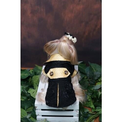 Free Shipping Handmade Dog Clothes Luxurious Pet Suit Twin Set With Shirt Black Gold Bow Tie Handsome Tuxedo Cat Yorkie Poodle