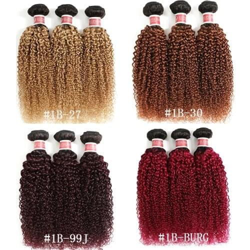 Ombre 27 Kinky Curly Hair 3 Bundles Brazilian Human Hair 1/3/4 Pcs 1B Brwon Red Burg Remy Curly Hair Weaving Bundles EUPHORIA