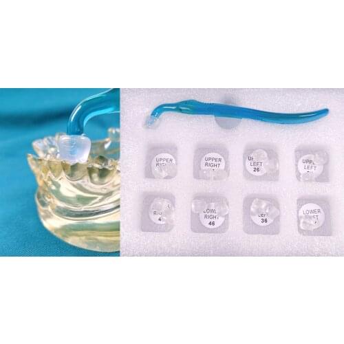 1 Kit Dental Aesthetic Light Cure Mold Composite Resin Printing Curing Posterior Molar Premolar