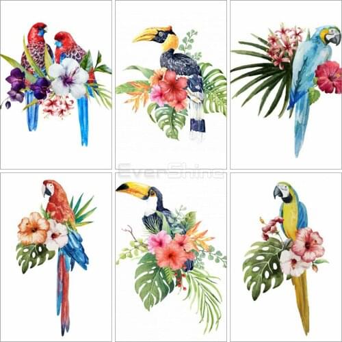 EverShine DIY Painting By Numbers Cartoon parrot Hand Painted Animals Wall Art Drawing Canvas Home Decoration