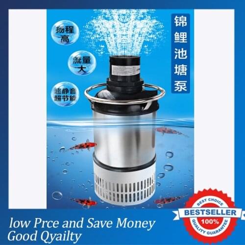 High Quality High Pressure Engineering Garden Water Pump SS304 Submersible Fish Pond Pump