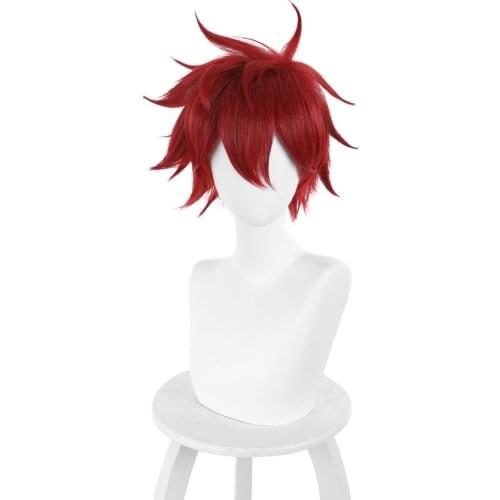 SK8 the Infinity Reki Kyan Cosplay Wig 35cm Heat Resistant Synthetic Hair Carnival Halloween Party Props