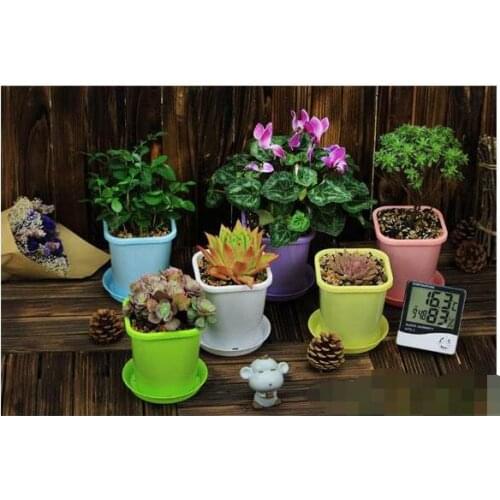 Colorful,D-11.5cm,Shamrock pots succulents pots plastic pots and more meat Vientiane rose flower pots.plants