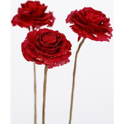 5pcs,Natural Dried Flower Branch,Artifical Wood Rose Flower,Eternal Rose forWedding Party Easter Decoration,Flower arrangement