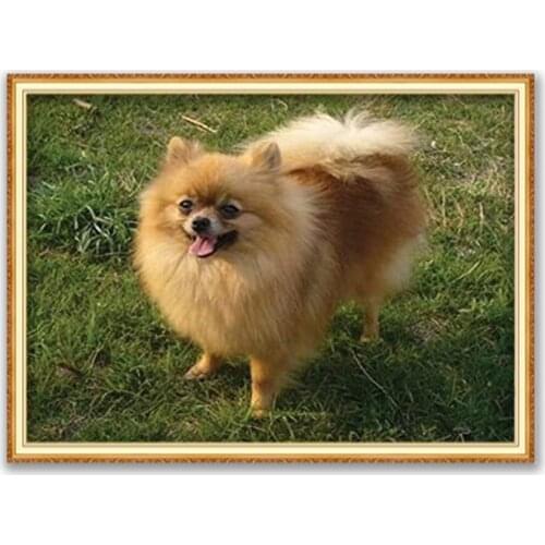 Animal Dog Pomeranian DIY Embroidery Cross Stitch 11CT Kits Craft Needlework Set Cotton Thread Printed Canvas Home Decoration