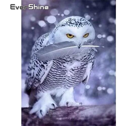 Evershine Diamond Painting Animals Owl Full Square Diamond Embroidery Cross Stitch Pet Picture Diamond Mosaic Beads Embroidery