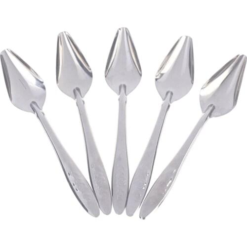 5Pcs Silver Baby Bird Pointed Feeding Spoon Stainless Steel Milk Medicine Parrot Feeder for All Baby Bird Peony Cockatiel