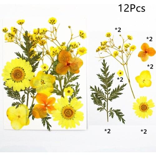 72 Pieces Dried Pressed Multiple Flowers Leaves Petals For Crafts Leaves Set Door Knocker Wedding Entrance Decorative Wreath