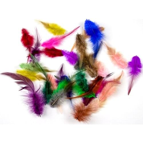 100pcs Natural Pheasant Feather Dyed Various color Chicken Feathers for DIY Craft Jewelry Making Accessories 10-15cm/4-6 inch