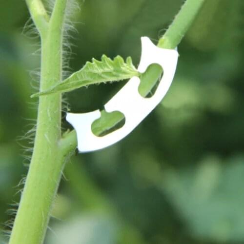 50PCS/Lot Vegetables Tomato Fixing Clips To Prevent Bending Support Clamp Fruit Flower Green Plant Seedling Reinforcement Clips