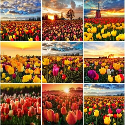 AZQSD 5d Diamond Painting Tulip Sunset Full Drill Square Needlework Diamond Embroidery Flower Mosaic Home Decoration Gift