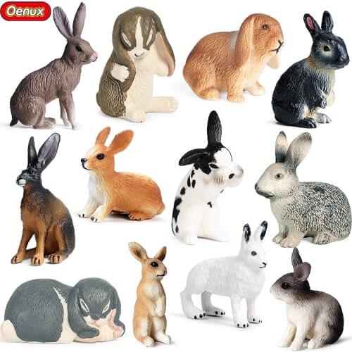 Oenux Farm Animals Simulation Rabbit Bunny Wild Hare Hotot Model Action Figure Decoration PVC Educational Miniature Kids Toy