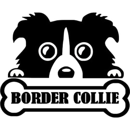 13.5cm*11cm Personalized Animal Border Collie Personality Bone Cute Fashion Car Stickers C5-0836