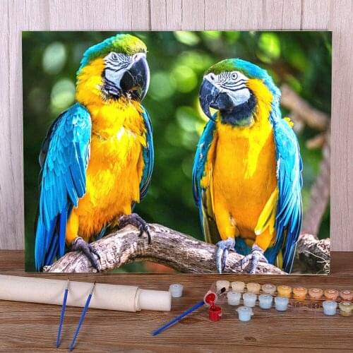 Parrot Bird Animal Coloring By Numbers Painting Package Oil Paints 40*50 Painting On Canvas Wall Paintings For Handiwork