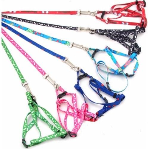 10 Colors Easy Adjustable Colored Print Rope Small Pet Dog Cat Rope Collars and Lead Leash Harness Chest Strap Pets Products
