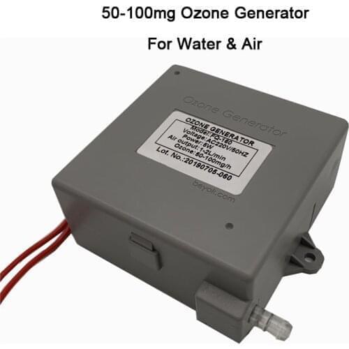 100mg Multifunctional New Household Ozone Generator Cell in Water Treatment Drinking Water Sterilizer for Spa Machine FQ-160