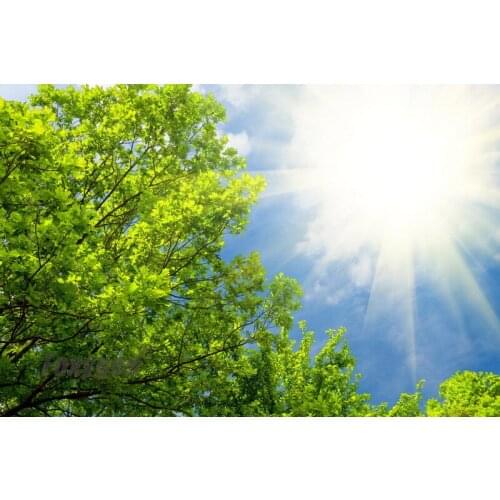 Stretch ceiling film false ceiling price for ceiling sheet from china