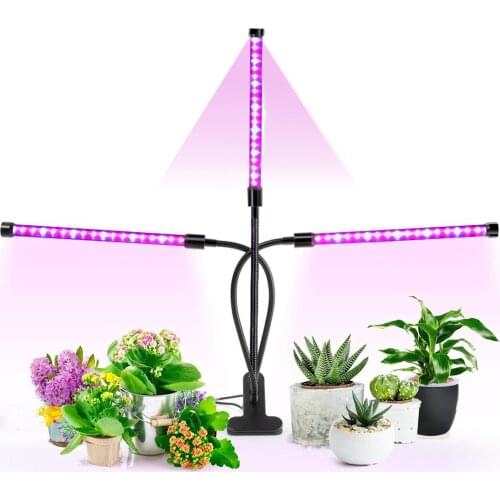 LED Plant Lamps LIPYAO China
