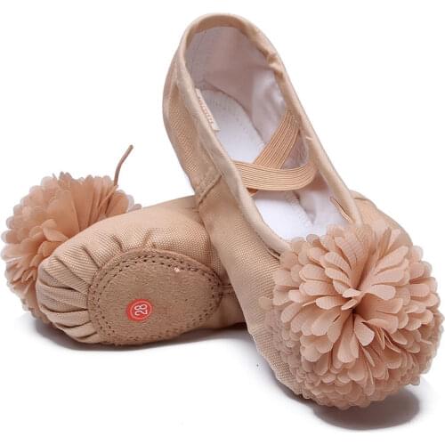 Lovely Canvas Soft Sole Girls Children Lace Ballet Practice Dance Shoes for Kids Ballet Shoes Dance