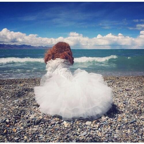 Pet Dog Wedding Dress Handmade Lace Embroidered For Small Dogs Artistic Princess Tutu Dress Puppy Bride Clothes Chihuahua Poodle