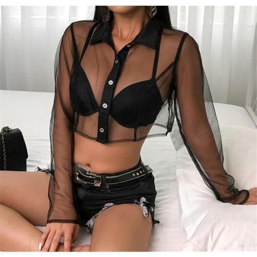 Women Sheer Mesh Fish Net Long Sleeve Turn Down Neck See Crop Top Shirt Black Lace Transparent Blouse