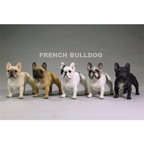 Mr.Z Studio 1:6Stand French Bulldog Bull Dog Pet Figure Animal Toy Collector Decor Gift Play Home Furnishing Small Ornaments