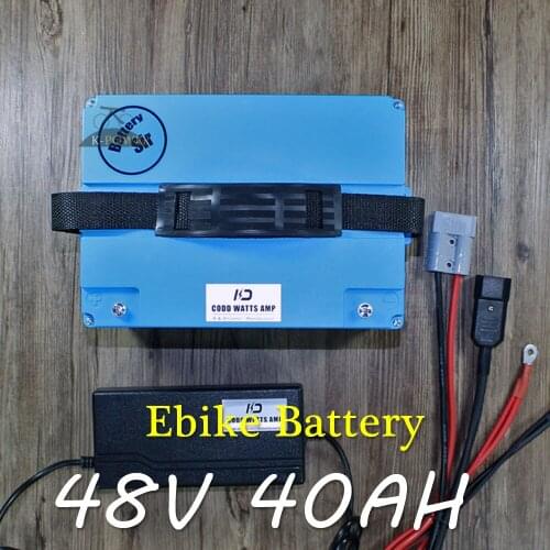48V 40AH 1000W 2000W Electric motorcycle Electric bike Lithium ion battery