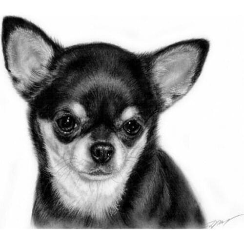 Black chihuahua dog 5D DIY Diamond Painting Full Square Drill Resin Embroidery Diamond Mosaic cross stitch home decor C723