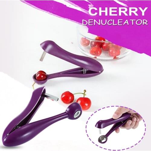 Purple Cherries Corer Denucleator Portable Kitchen Utility Gadget Ergonomic Anti-Slip Handle Drill Vegetable Fruit Corer 2021New