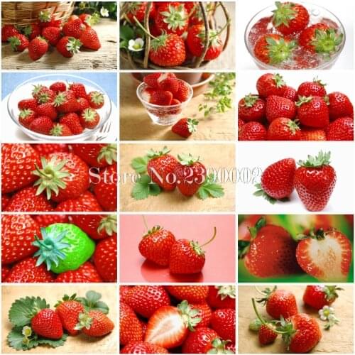 DIY Diamond Painting Cross Stitch Kit Diamond Embroidery Strawberry Crafts Needlework Paste 3D Full Diamond Mosaic Needlework