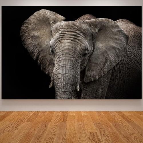 Rhinoceros Zebra Lion Elephant Black and White Posters Nordic Animal Print Home Decor Canvas Wall Art Living Room Decoration