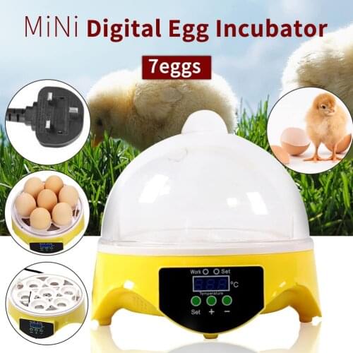 Mini Poultry Hatchery Machine 220/110V Hatching 7 Mini Brooder Small Chicken Bird Egg Hatchers Incubator For Quail Pigeon Duck