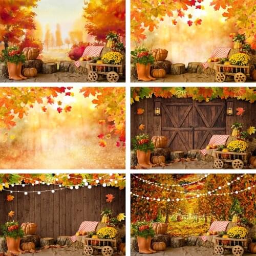 Forest Yellow Leaves Photography Backdrops Adult Portrait Pumplin Thanks Giving Kids Baby Autumn Background Child Photostudio