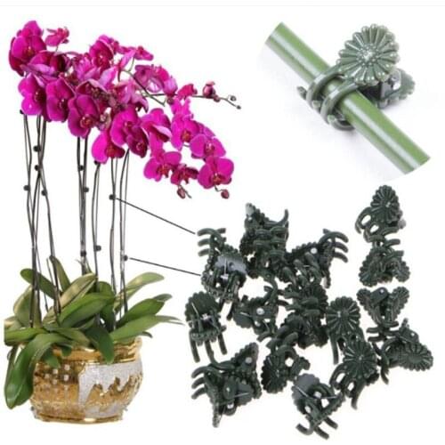 Climbing plant fixing clip special Plant Support Clips Orchid Fixing Clips Flower Lever Loop Gripper Clips For Flower Plant