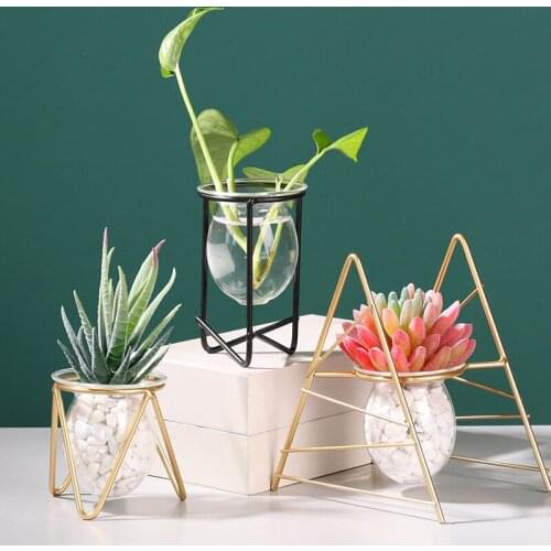 Simple Metal Transparent Glass Plant Vase Nordic Geometric Hydroponics Plants Flower Vases Living Room Desktop Office Home Decor