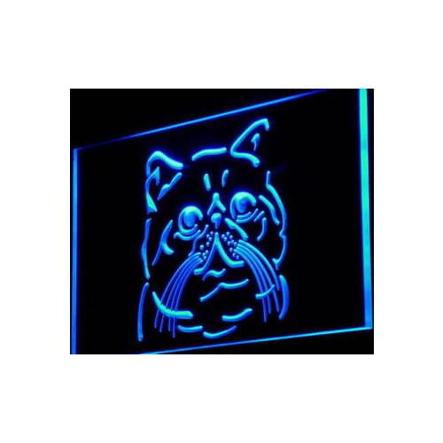 I986 Exotic Shorthair Cat Breed Pet Shop Light Signs On/Off Switch 20+ Colors 5 Sizes