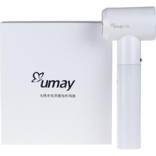 Wholesale Hair Dryer with Battery Working USB Port Travel Blower Babyliss Cordless Hair Dryer Office Worker Pet Brow Hair