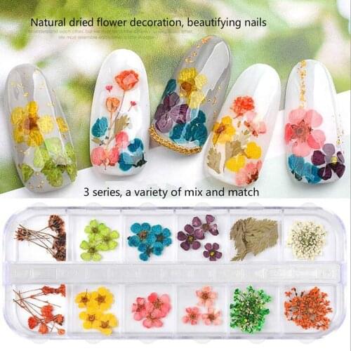 3 box Nail Dried Flowers 36 Colors Starry Sun Flower Small Daisies Dried Flowers Decoration Free shipping