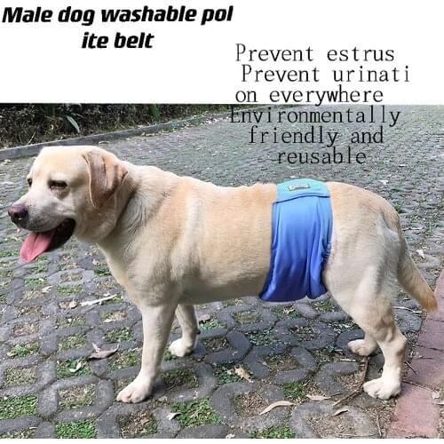 Washable Male Dog Belly Band Wrap Waterproof Pet Diaper Toilet Training Dog Physiological Pant dog accessories