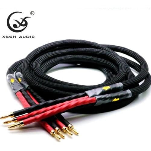 1 pair XSSH audio Hi-end DIY HIFI Gold Plated 4 banana plugs to 4 banana plugs 4 core OFC Silver Plated speaker cable Cord Wire