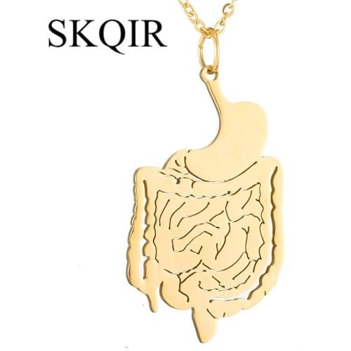 Gold Human Stomach Intestine System Pendant Fashion Statement Chain Collares Stainless Steel Medical Necklaces For Bayan Jewelry